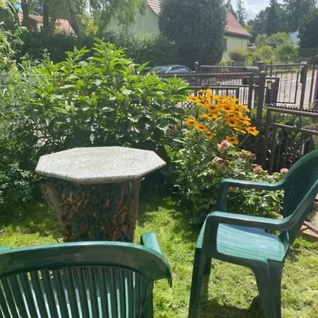 Haus Heiken Sonnenblume Appartement Altenburg