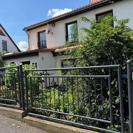 Haus Heiken Sonnenblume *