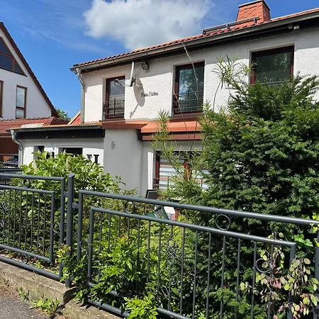 Haus Heiken Sonnenblume