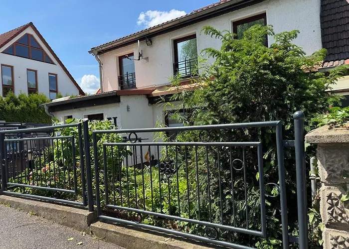 Haus Heiken Sonnenblume *